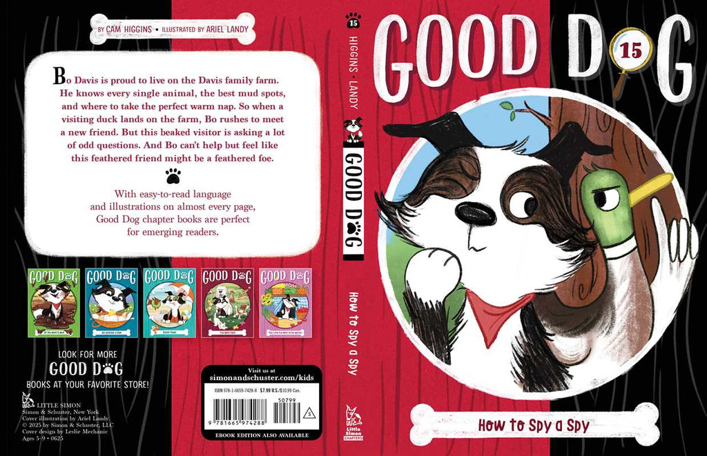 How to Spy a Spy by Cam Higgins