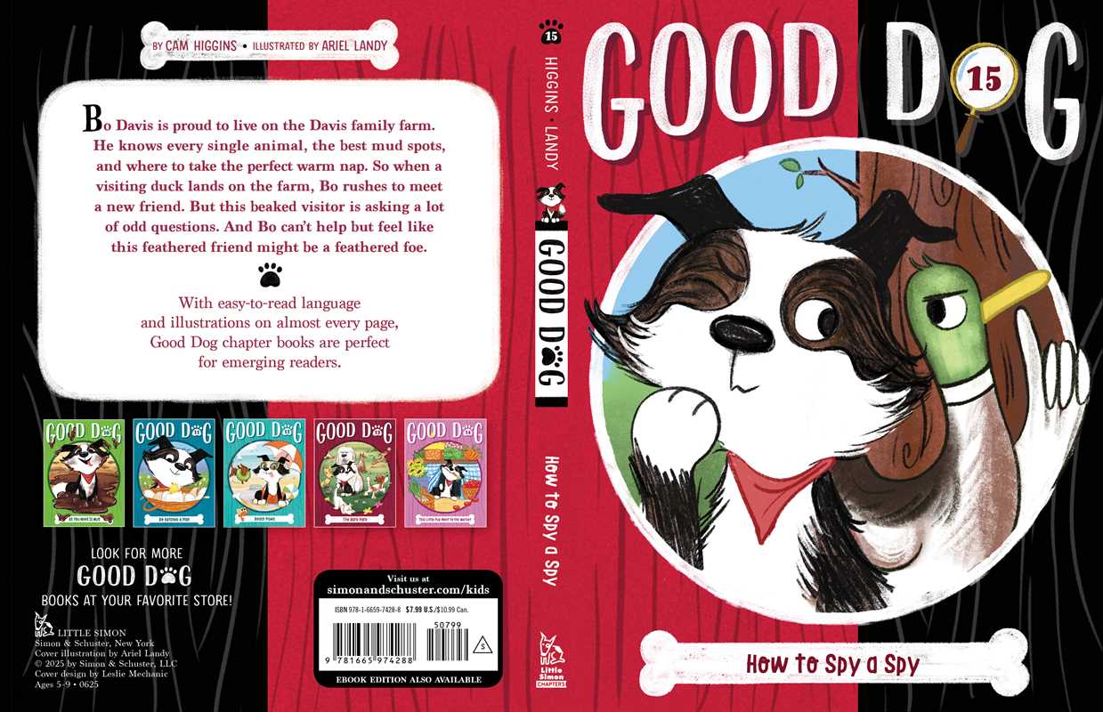 How to Spy a Spy by Cam Higgins