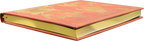 Orange Fairy Journal