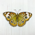 Common Buckeye Butterfly Vinyl Sticker