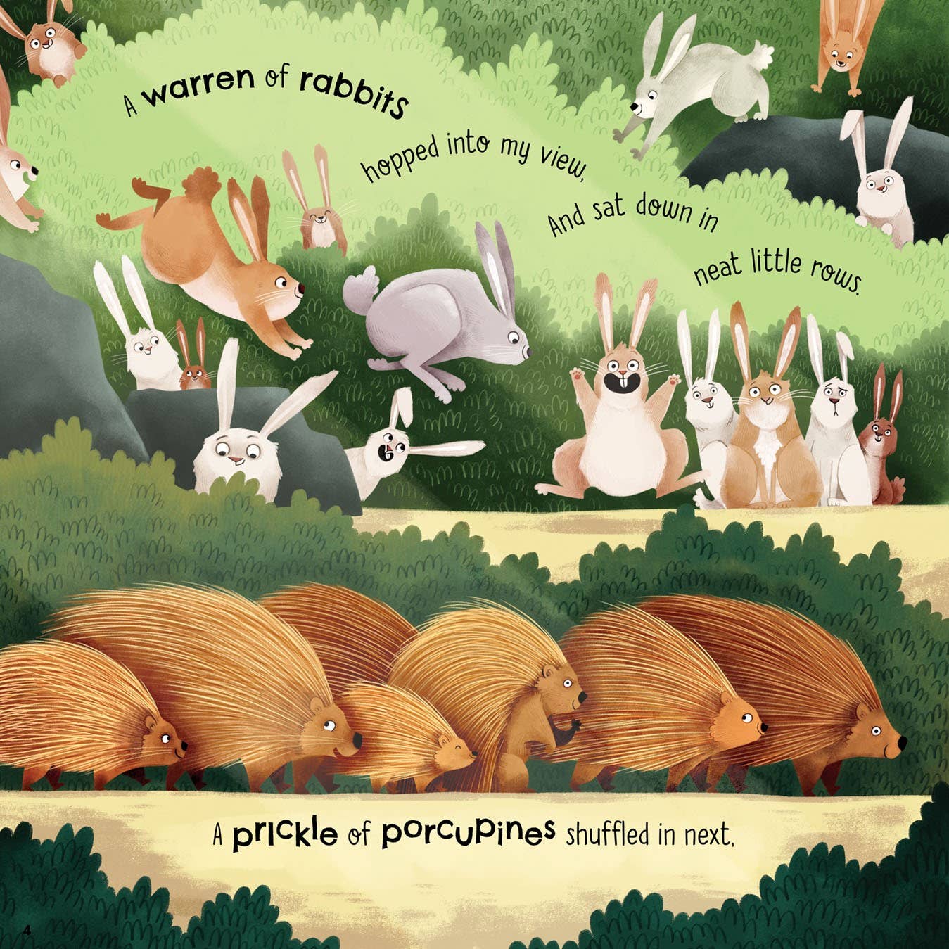 A Parliament of Owls Picture Book