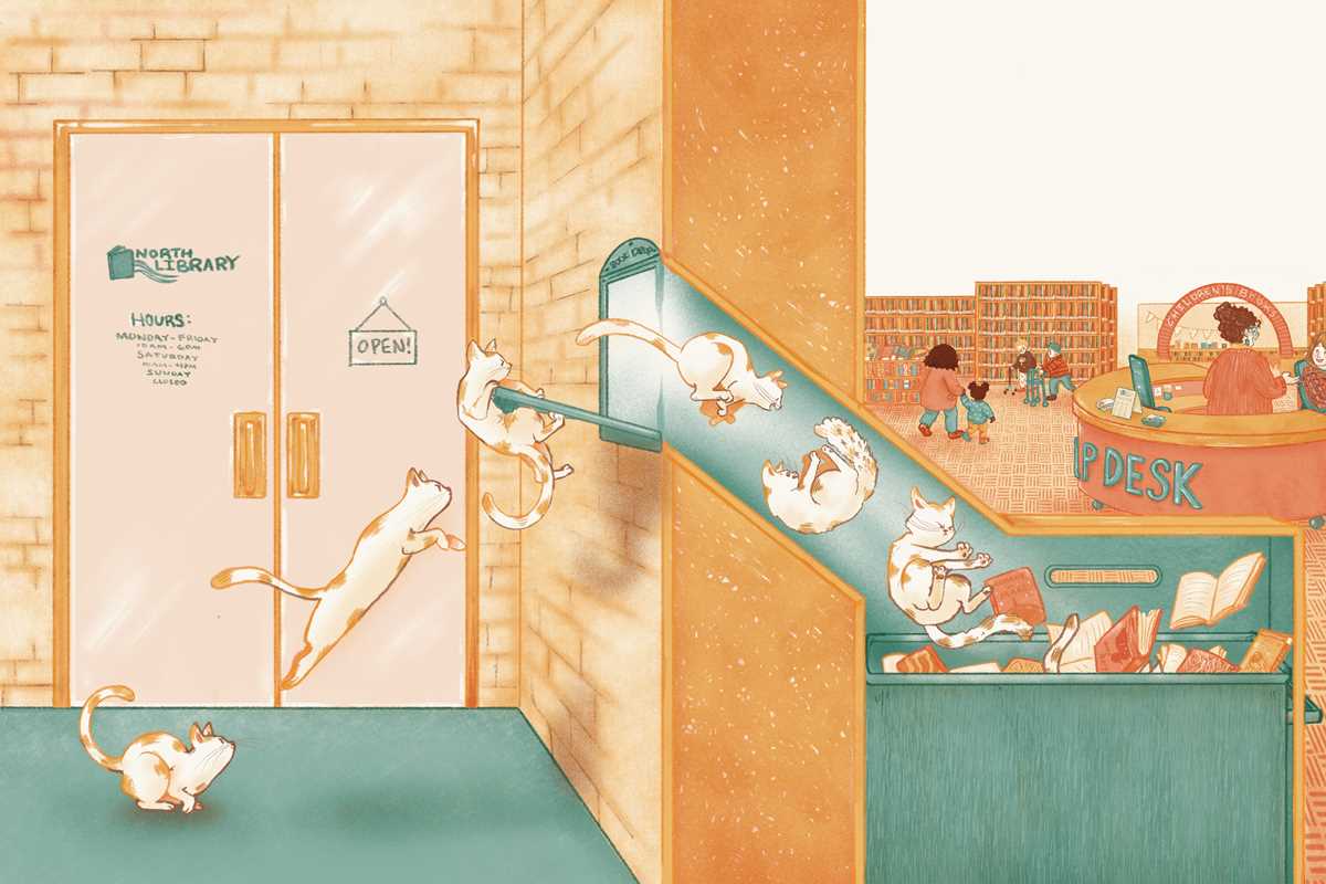 No Cats in the Library by Lauren Emmons