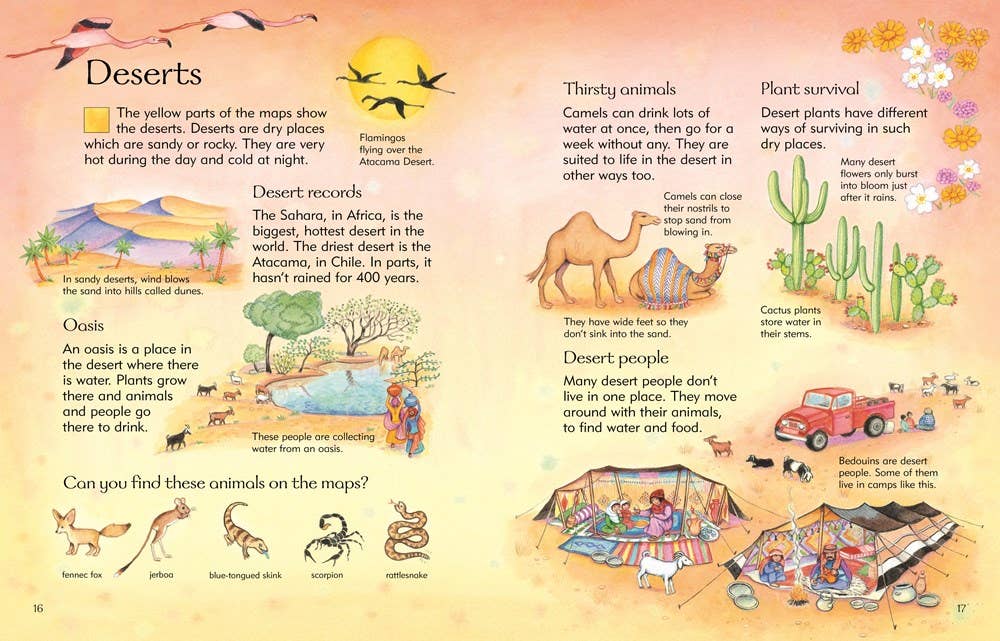 Children's Picture Atlas: Ruth Brocklehurst