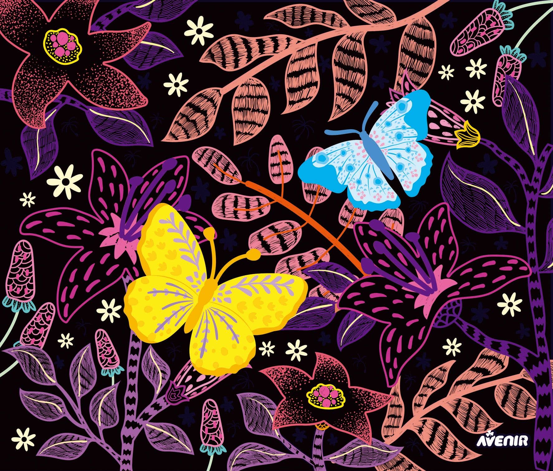 Avenir - Create Your Own Light Box