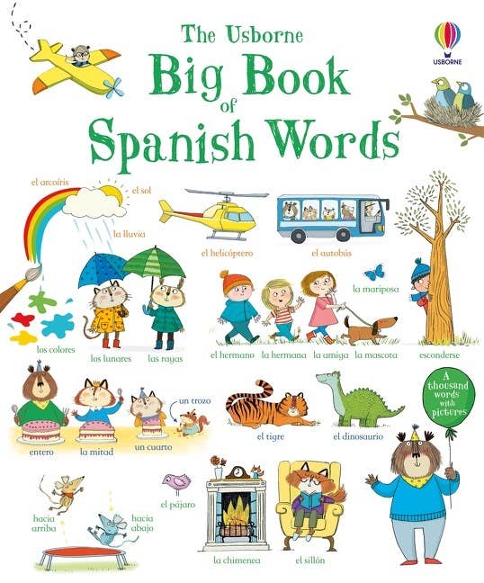 Big Book Of Spanish Words : Usborne