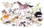 Some Pets by Angela DiTerlizzi
