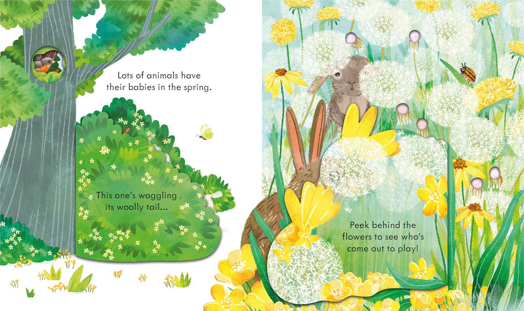 Peek Inside Springtime : Usborne