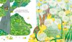 Peek Inside Springtime : Usborne