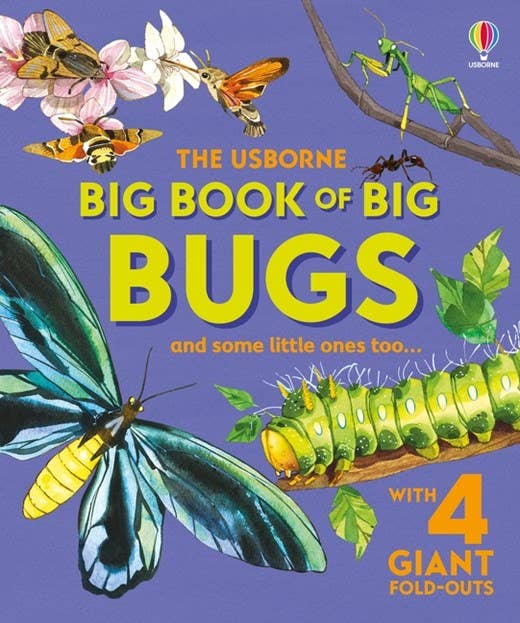 Big Book of Big Bugs : Usborne