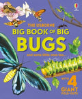 Big Book of Big Bugs : Usborne