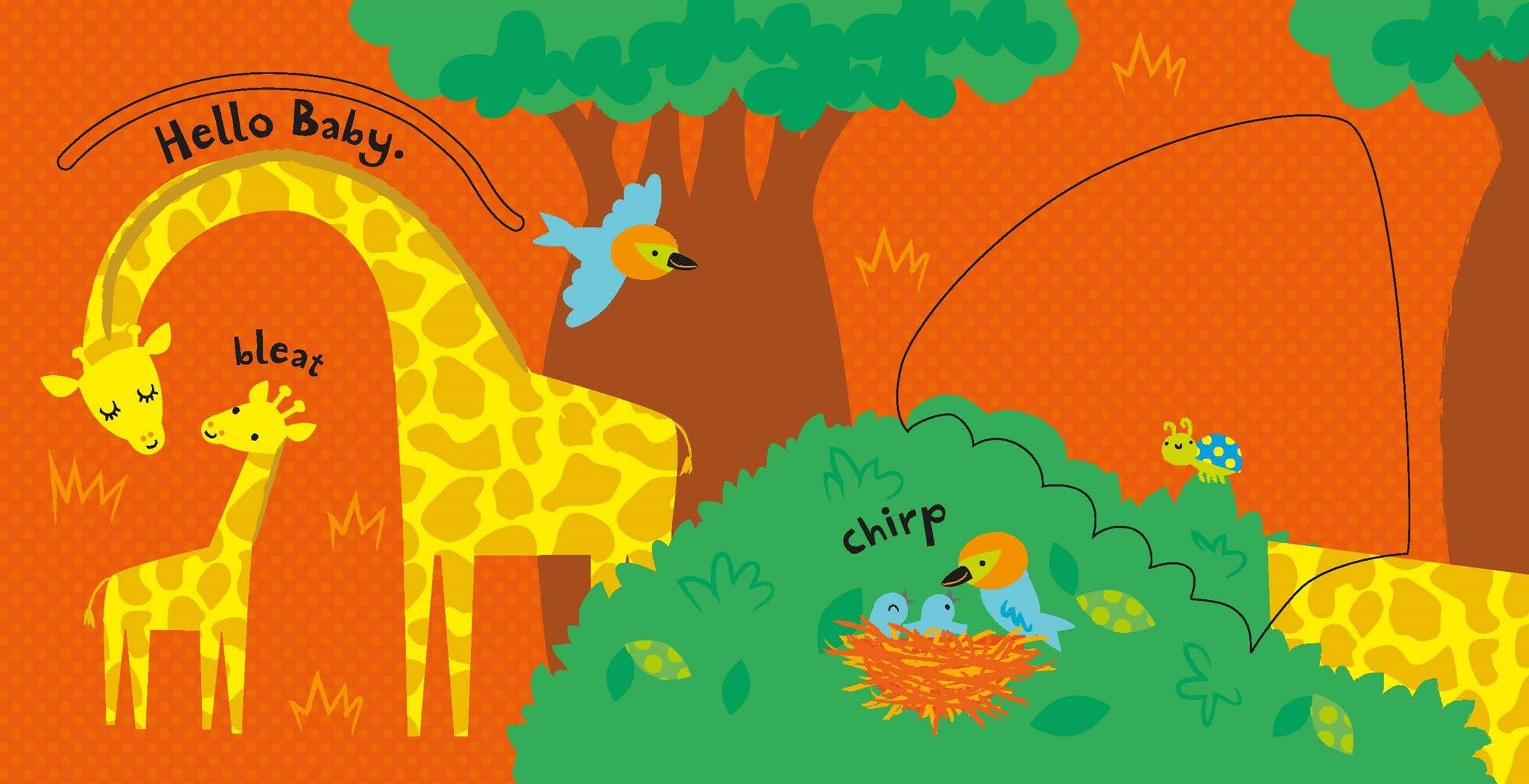 Slide And See Animals board book : Usborne