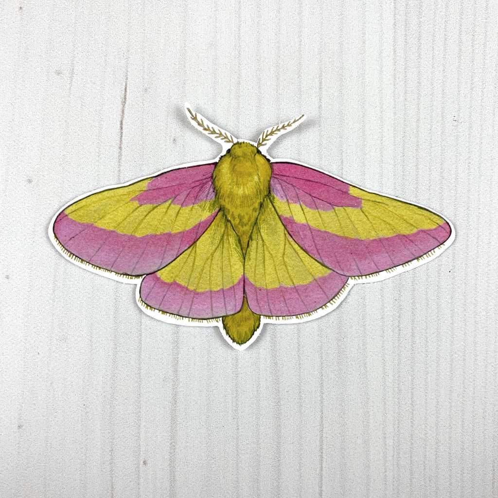 Rosy Maple Moth Vinyl Sticker