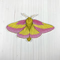 Rosy Maple Moth Vinyl Sticker