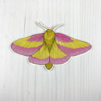 Rosy Maple Moth Vinyl Sticker