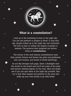 The Night Sky
