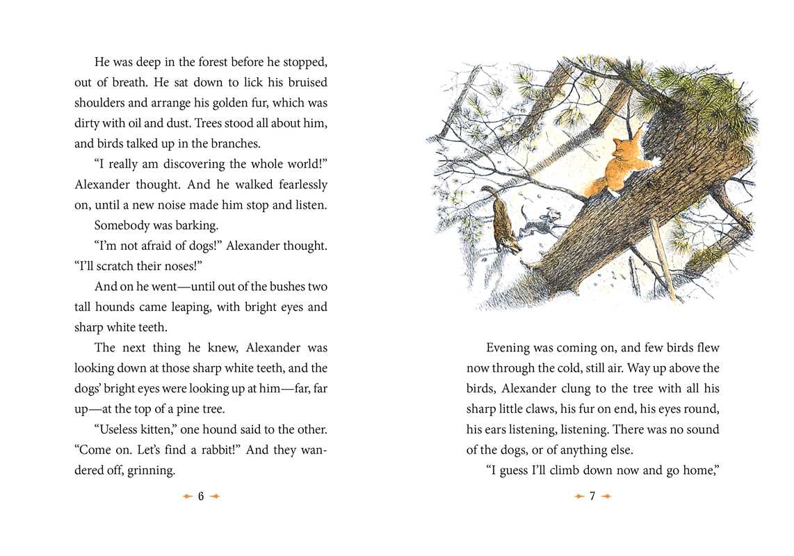 Wonderful Alexander and the Catwings by Ursula  K. Le Guin