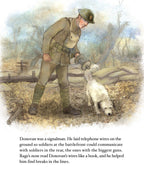 Rags: Hero Dog of WWI A True Story Picture Book