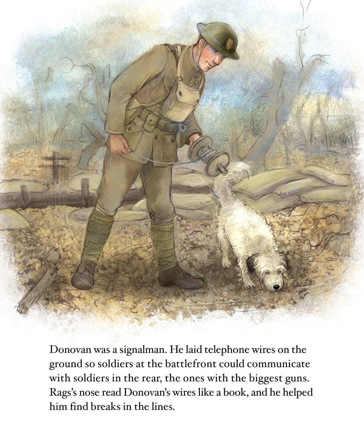 Rags: Hero Dog of WWI A True Story Picture Book
