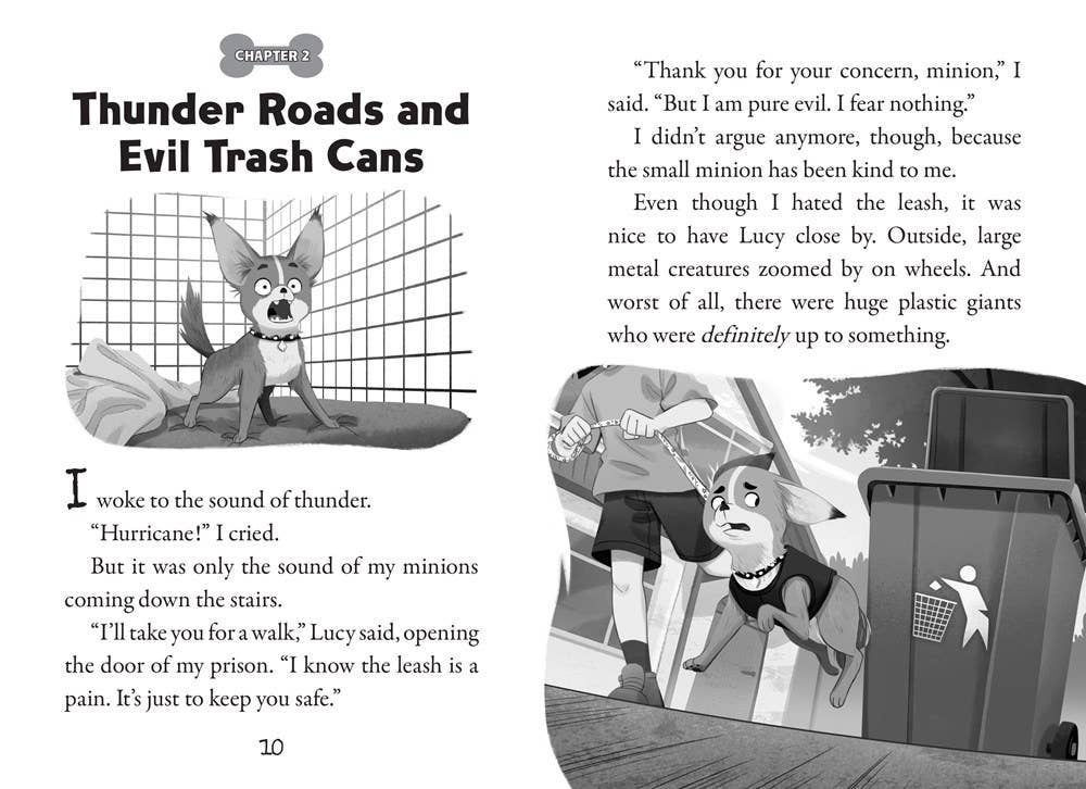 Night of the Chipmunk: A Branches Book (Pets Rule! #6)