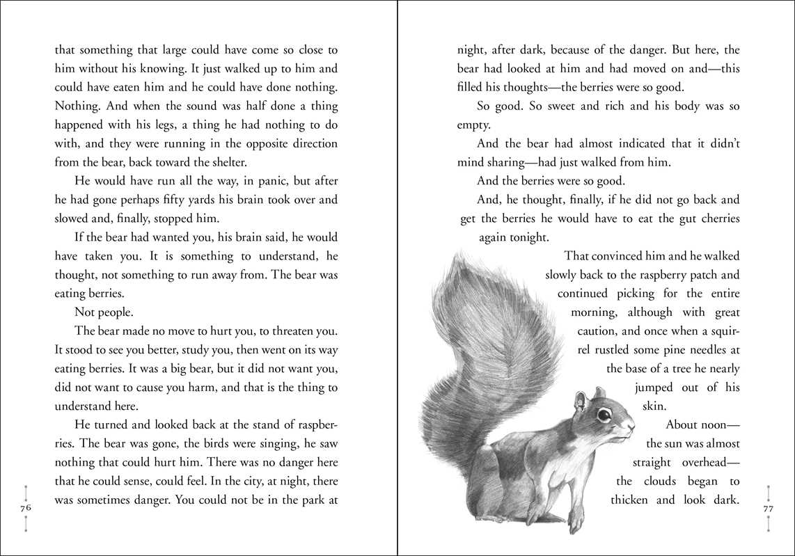 Hatchet by Gary Paulsen