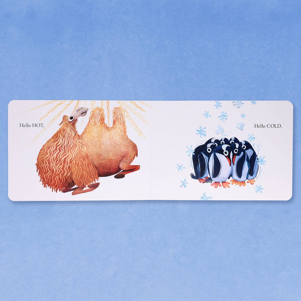 Hello Hello Opposites