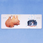 Hello Hello Opposites