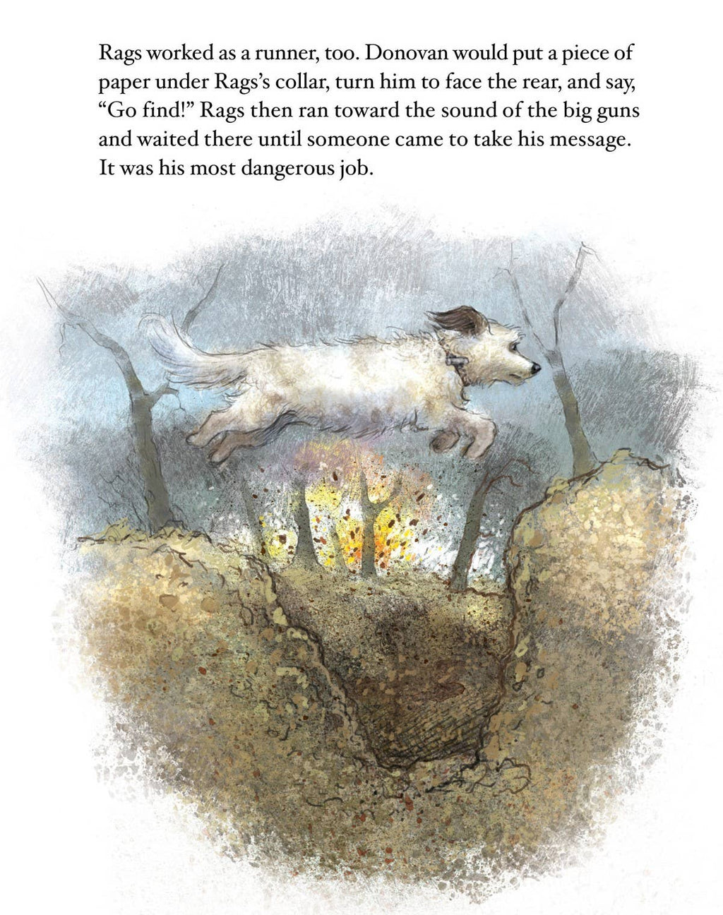 Rags: Hero Dog of WWI A True Story Picture Book