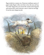 Rags: Hero Dog of WWI A True Story Picture Book