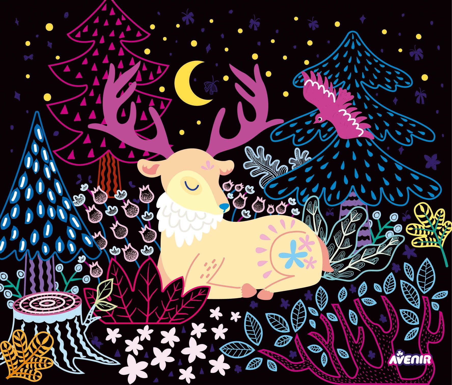 Avenir - Create Your Own Light Box