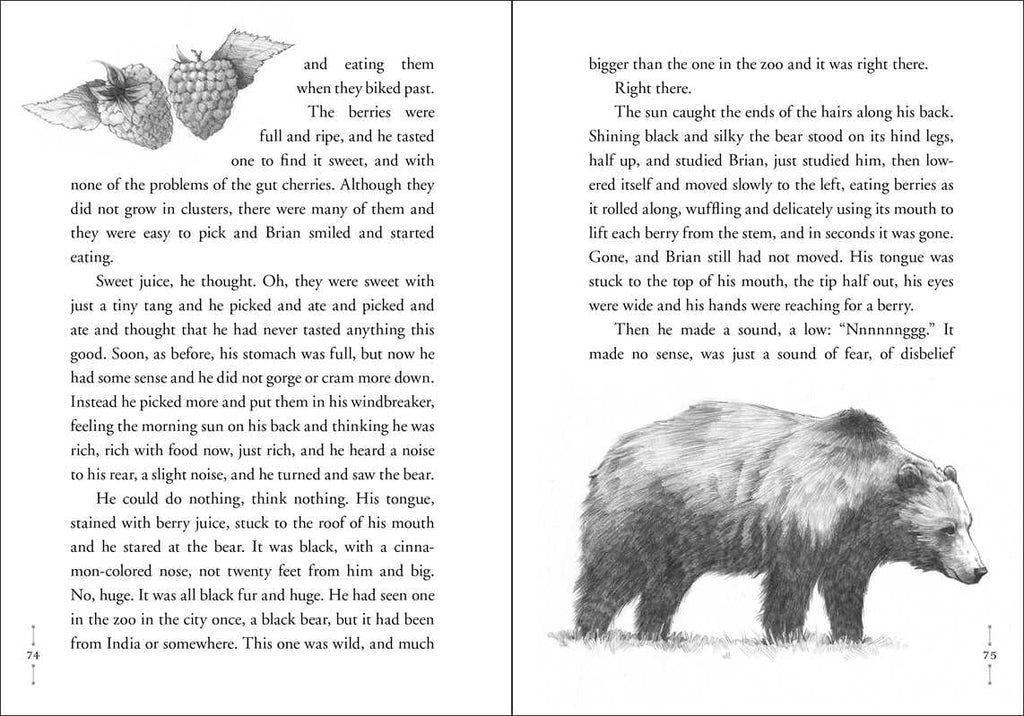 Hatchet by Gary Paulsen