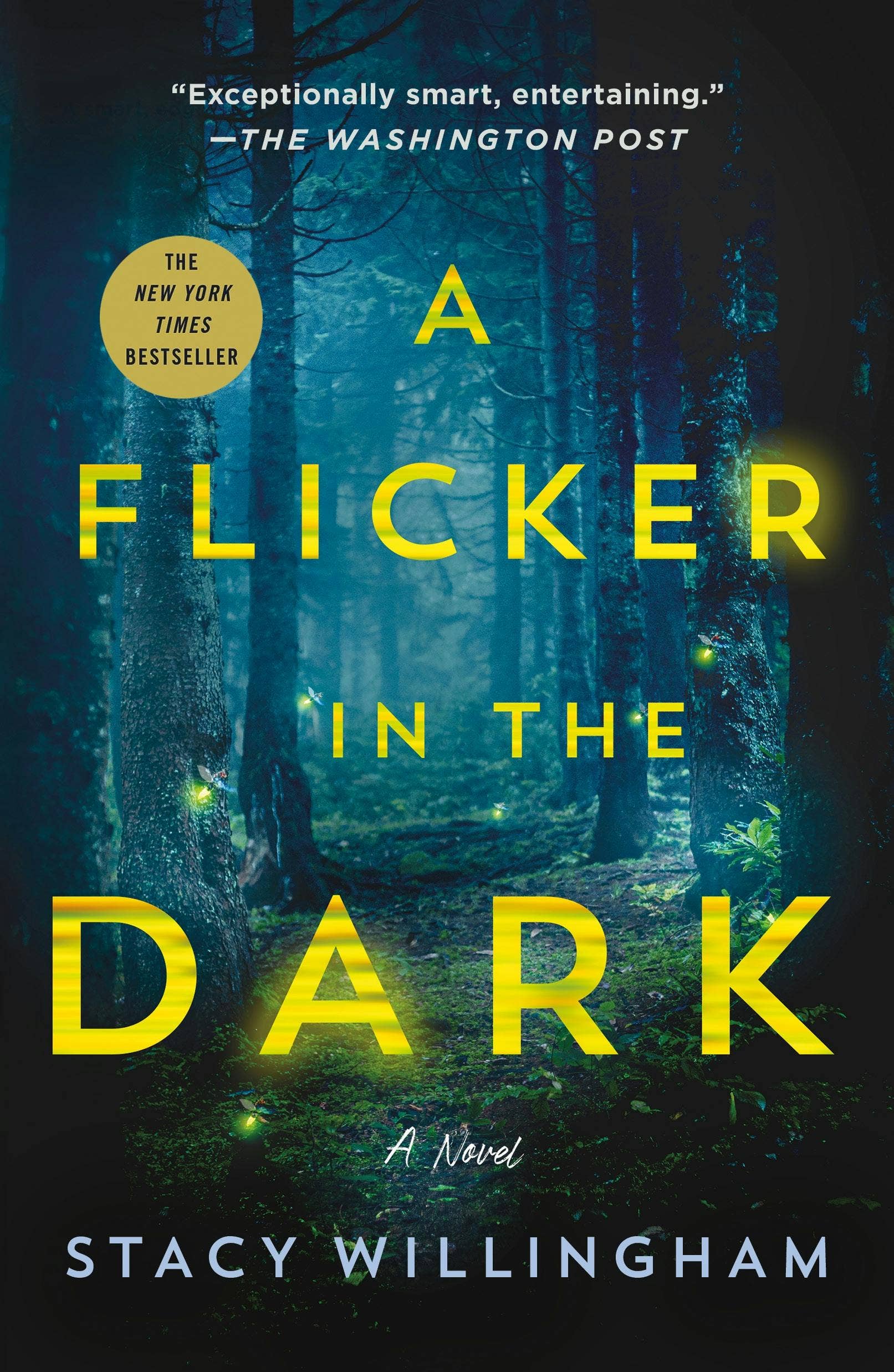 Flicker In The Dark: A Novel