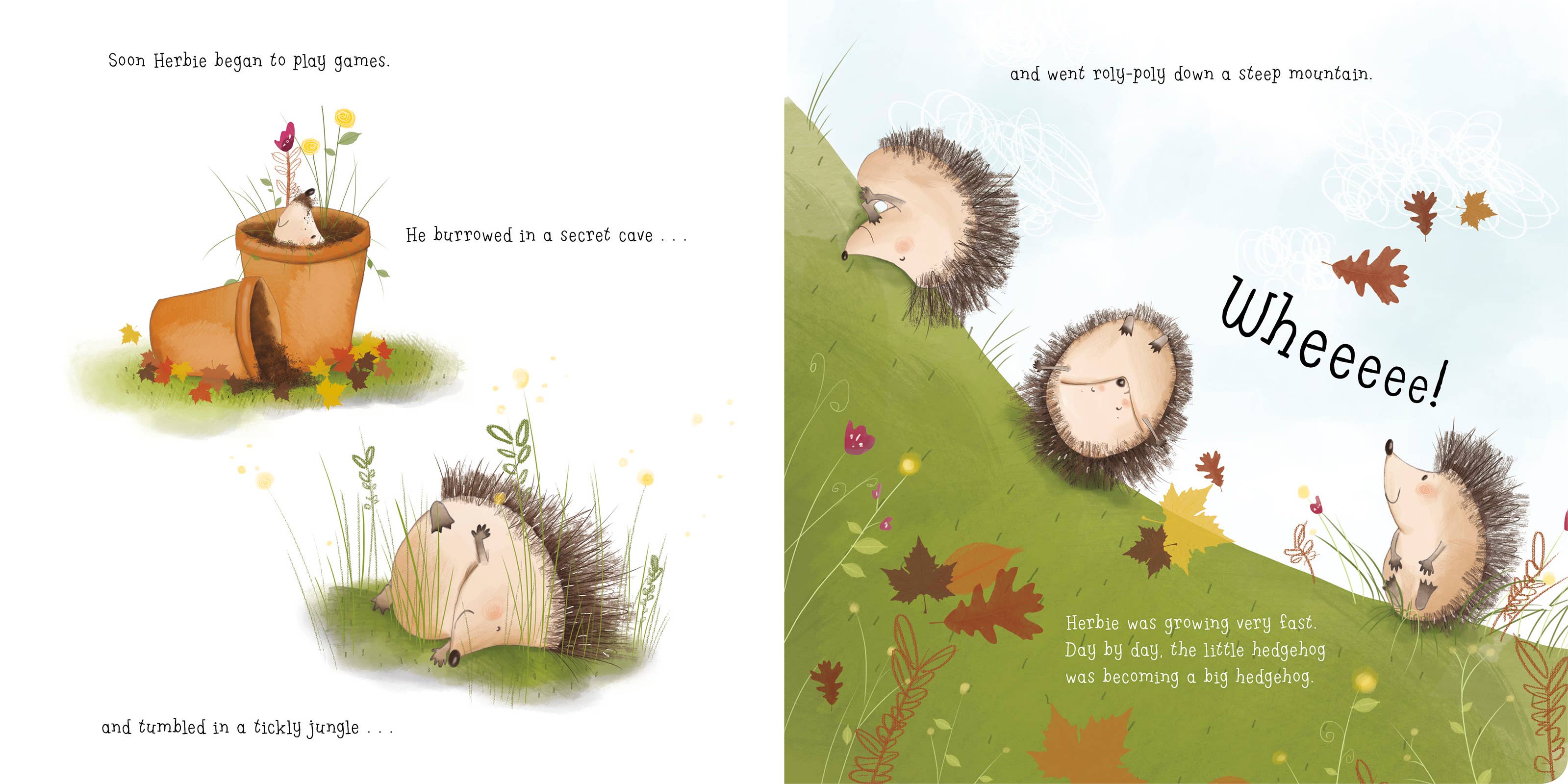 Herbie's Big Adventure Board Book