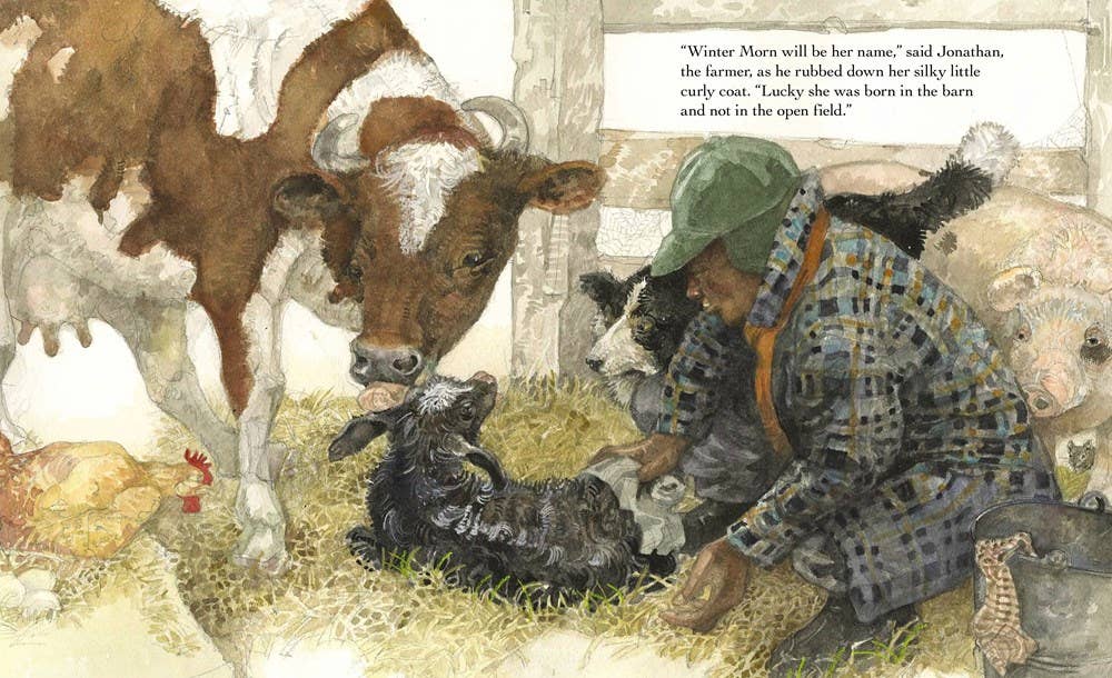 Home in the Barn, A : Margaret Wise Brown