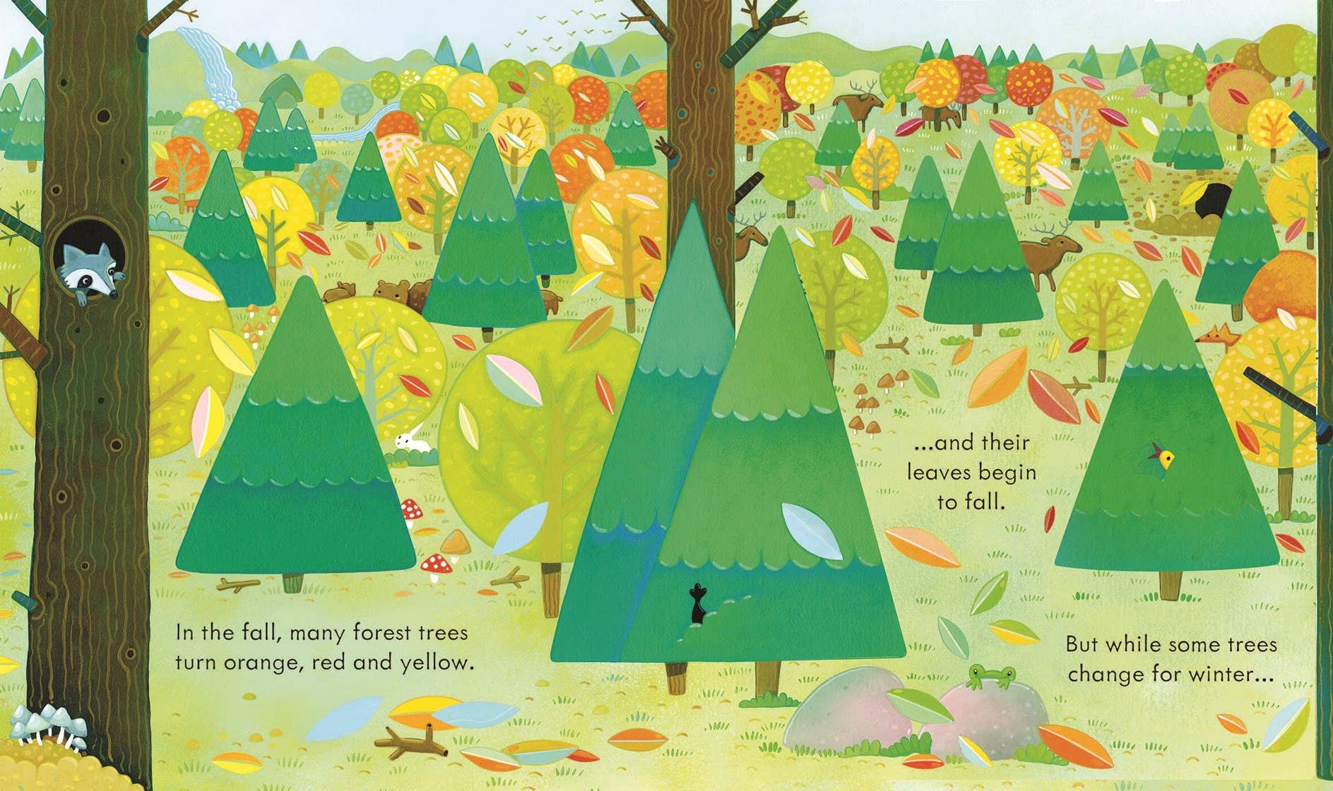 Peek Inside The Forest: Usborne