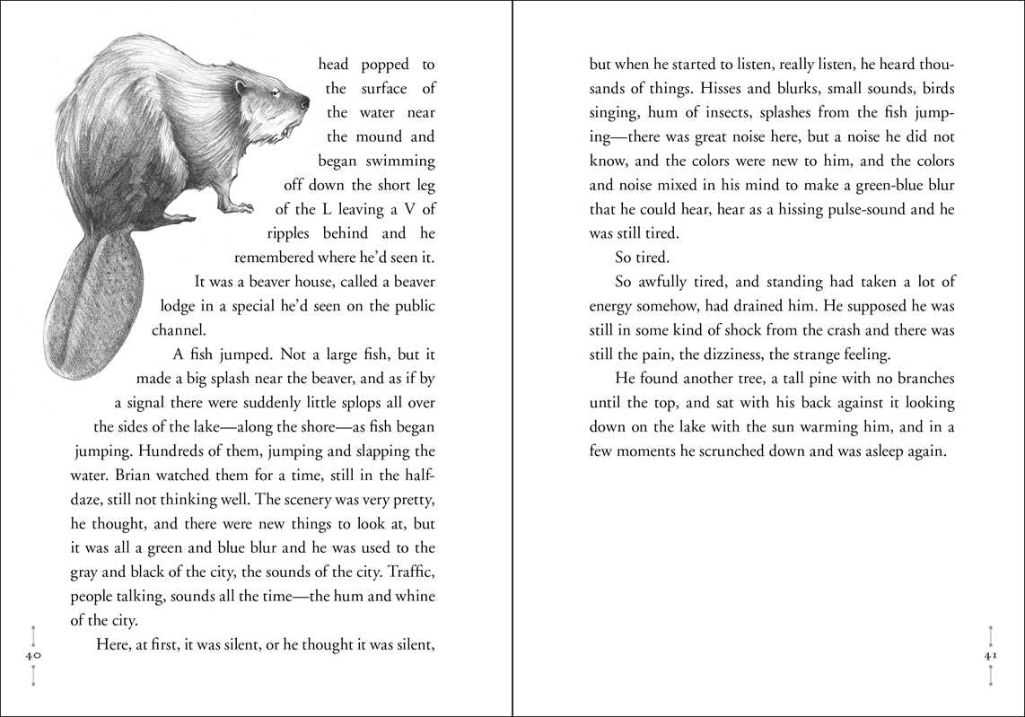 Hatchet by Gary Paulsen