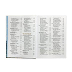 The Golden Children's Bible