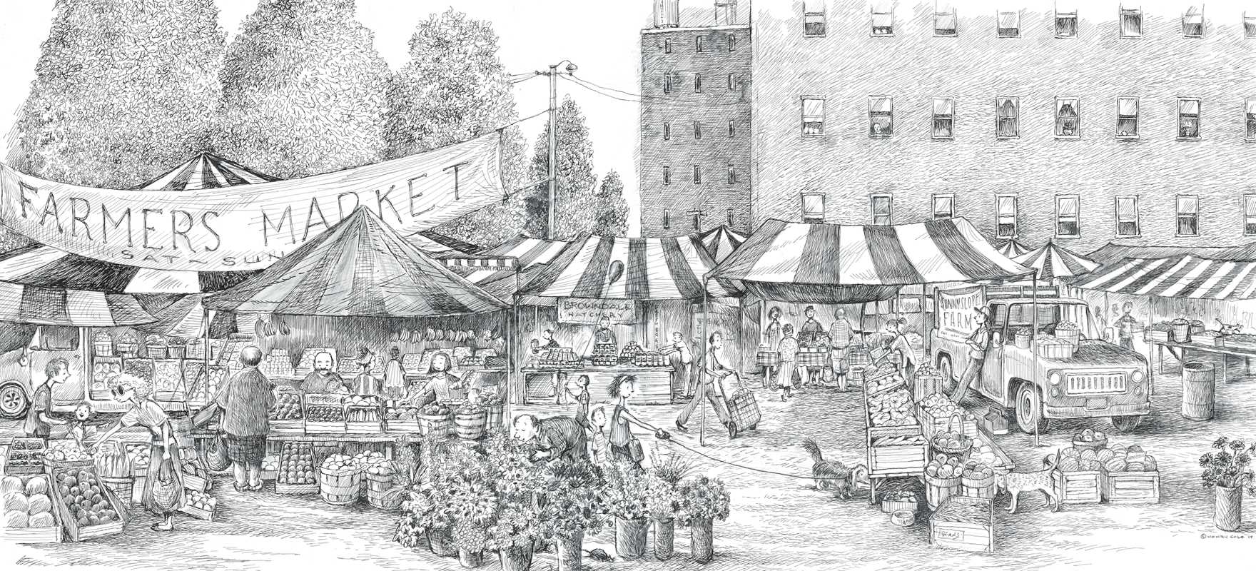 Spot, the Cat by Henry   Cole