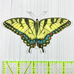 Tiger Swallowtail Butterfly Vinyl Sticker