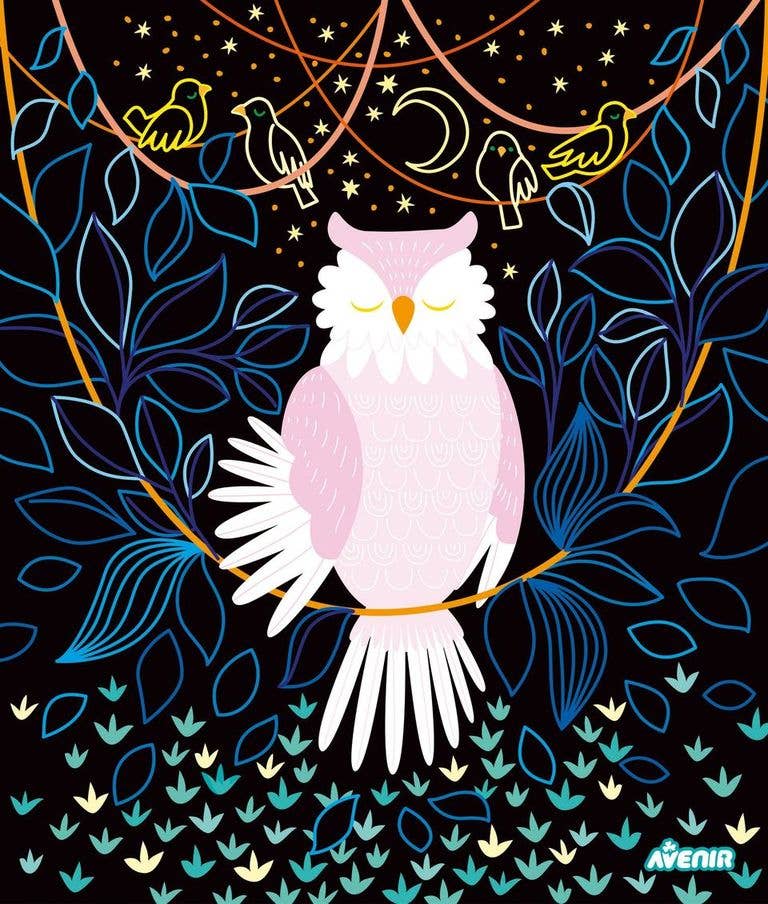 Avenir - Create Your Own Light Box