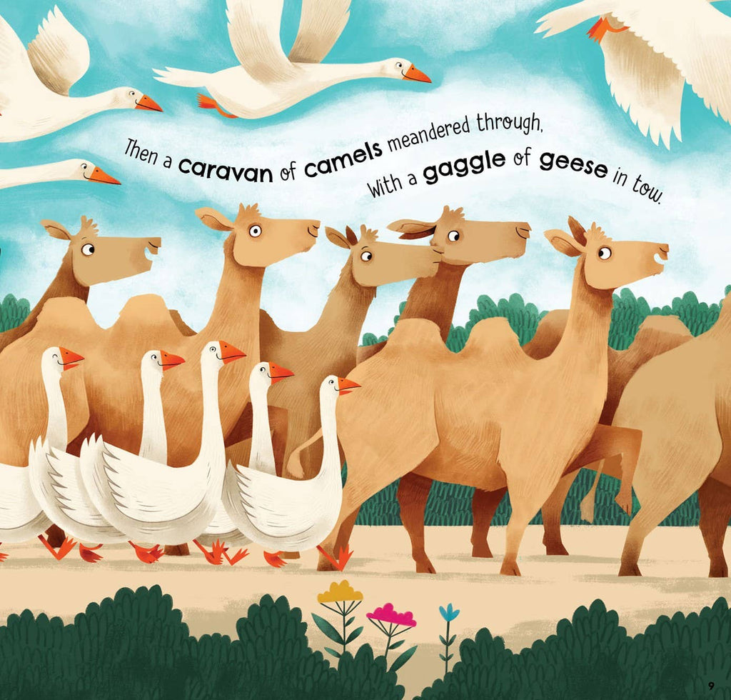 A Parliament of Owls Picture Book