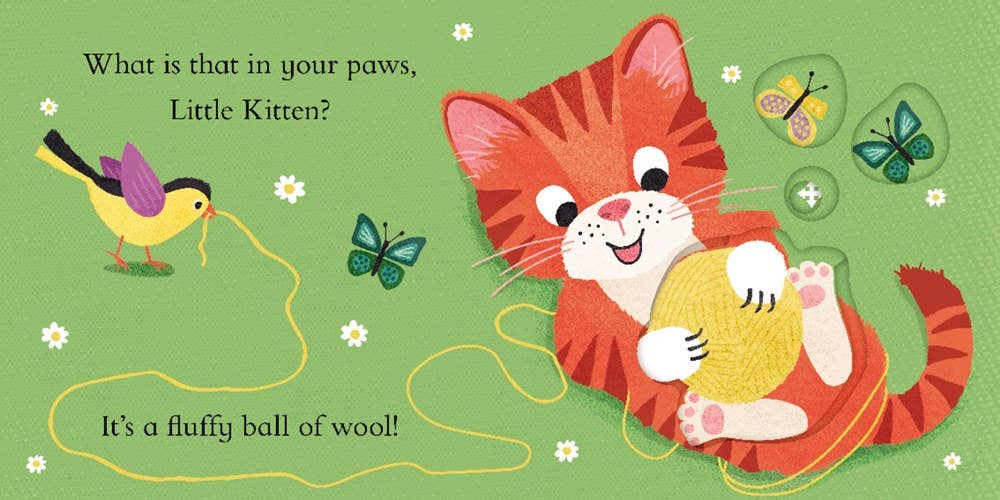 Hide & Slide: My Little Kitten : Jackie McCann