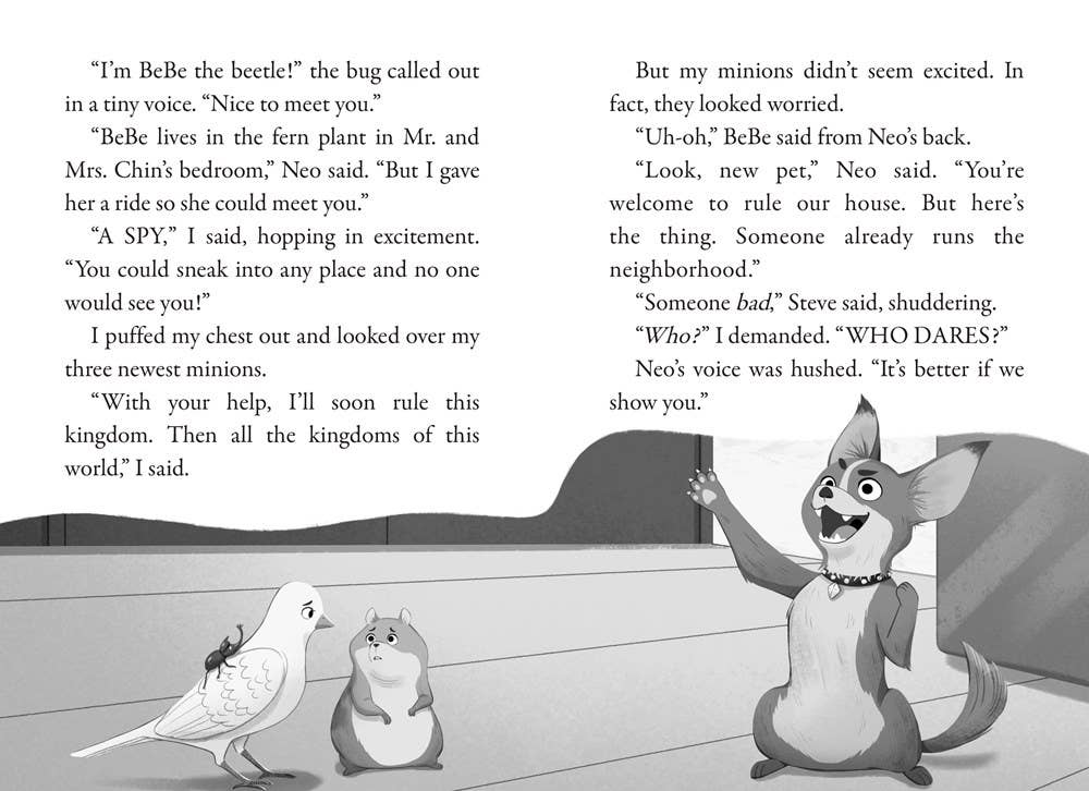 Night of the Chipmunk: A Branches Book (Pets Rule! #6)