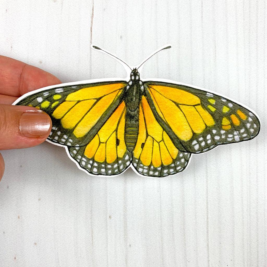 Monarch Butterfly Vinyl Sticker