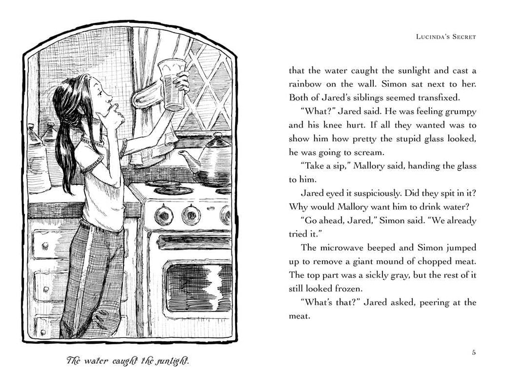 Lucinda's Secret by Tony DiTerlizzi