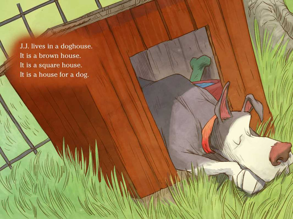 Chicken House by Doreen   Cronin