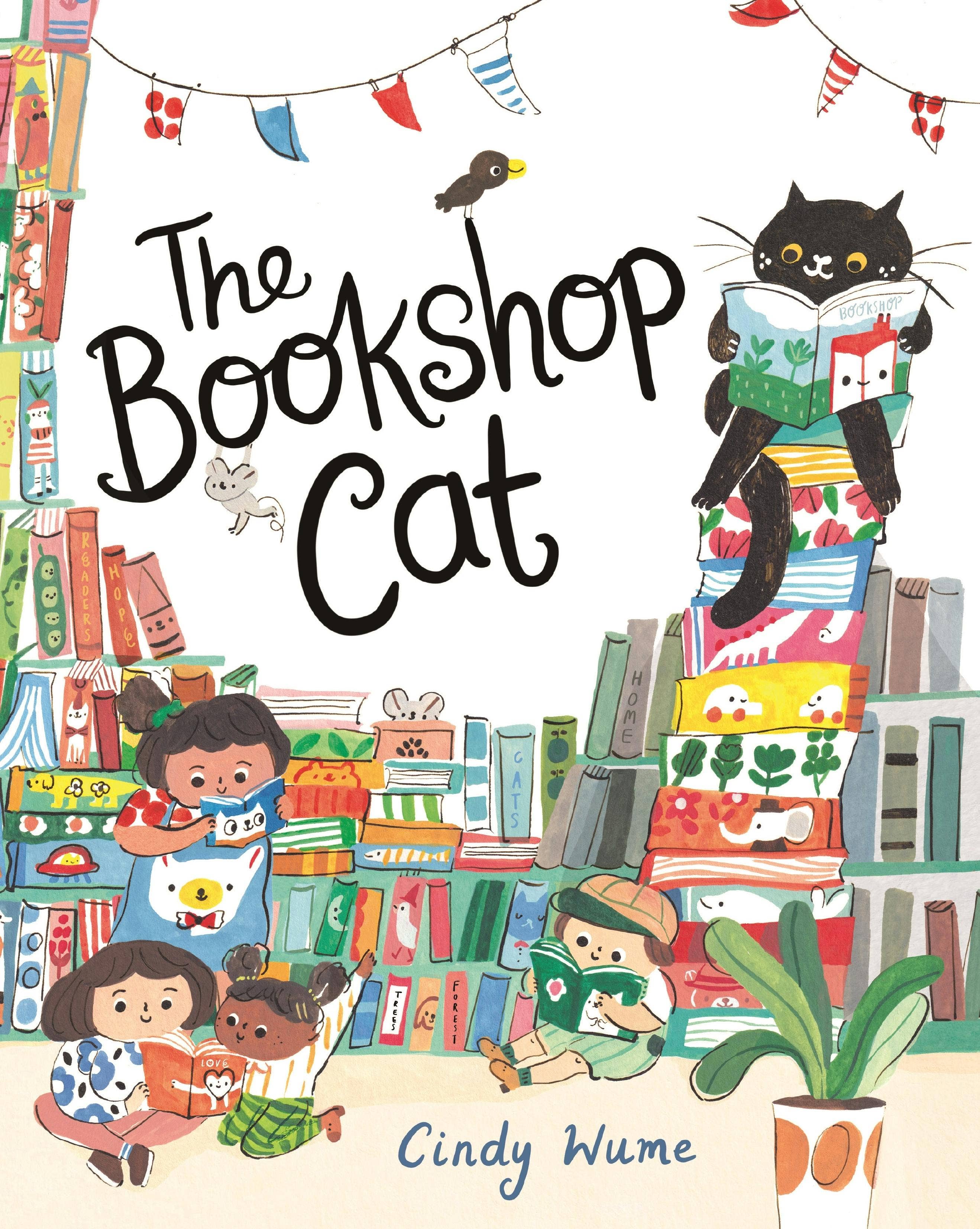 The Bookshop Cat: