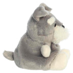 5" Plush Korra Schnauzer Palm Pal