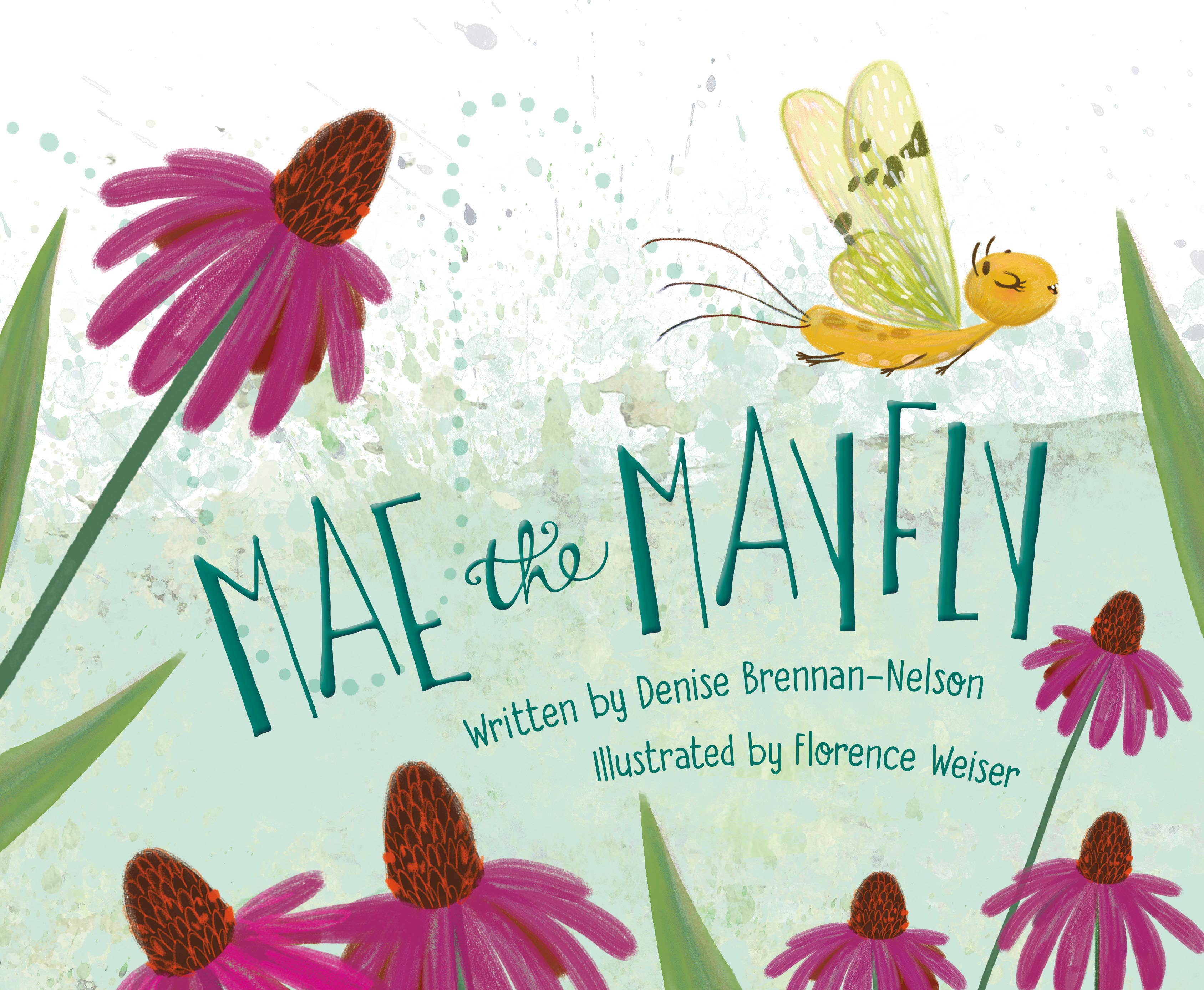 Mae the Mayfly Picture Book