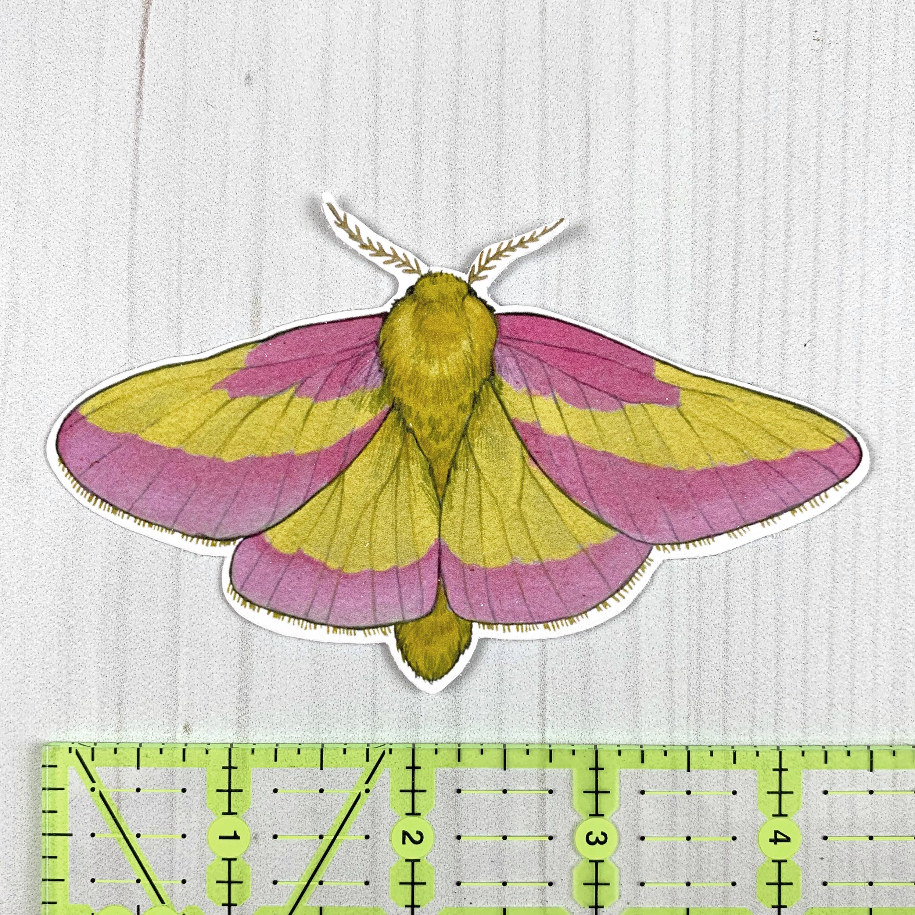 Rosy Maple Moth Vinyl Sticker