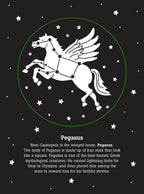 The Night Sky